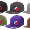 Snapback diverse Farben "Roverbayern-Lilie" (Merch)